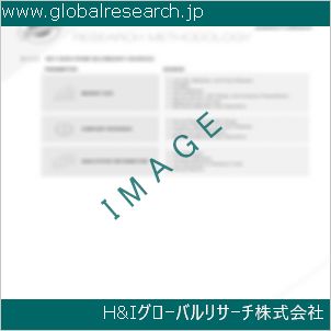 グローバルリサーチ調査資料のイメージ